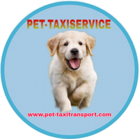 Pet-taxiservice